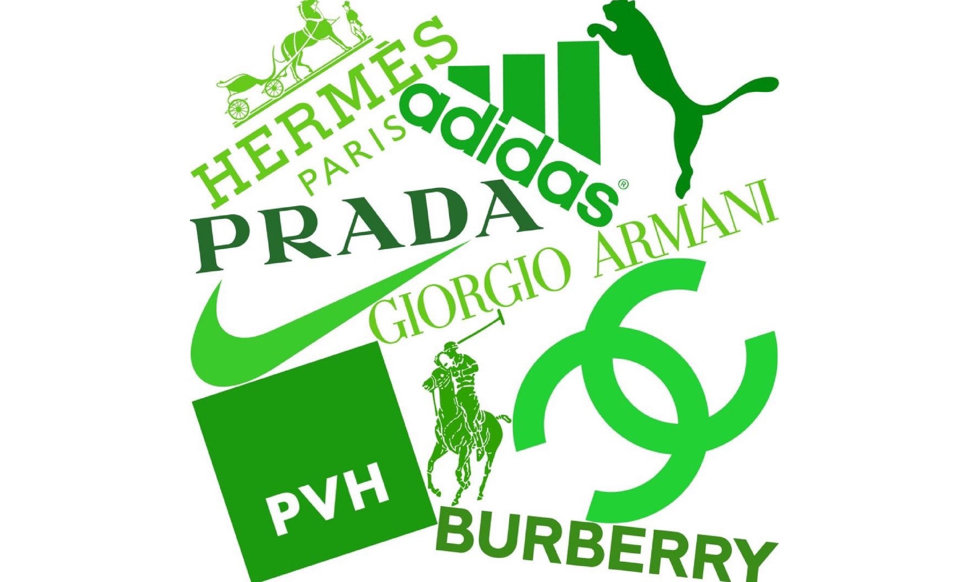 1567647240456402.jpg 2c3683261ea93d62fff2cc0cb6caf97.jpg